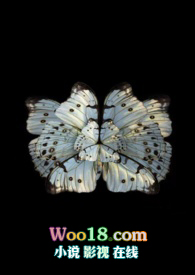 ����ơ��置1V1��