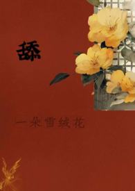 ��һ��ѩ�޻�������h��