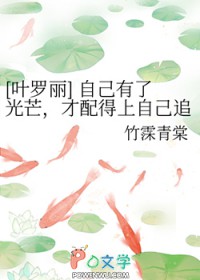 [Ҷ����] �Լ����˹�â����������Լ�׷�����